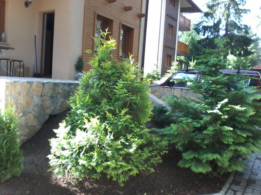 Apartment Joksimovic Ζλάτιμπορ Εξωτερικό φωτογραφία