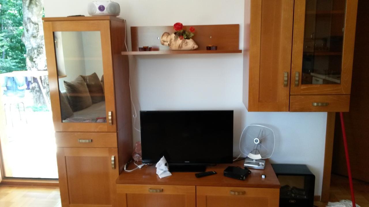 Apartment Joksimovic Ζλάτιμπορ Εξωτερικό φωτογραφία