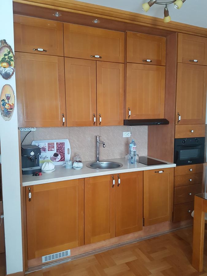 Apartment Joksimovic Ζλάτιμπορ Εξωτερικό φωτογραφία